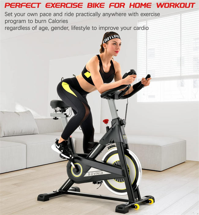 Exercise Bike, Indoor Cycling Bike with iPad Holder, LCD Monitor and Comfortable Seat Cushion, 330 Lbs Weight Capacity