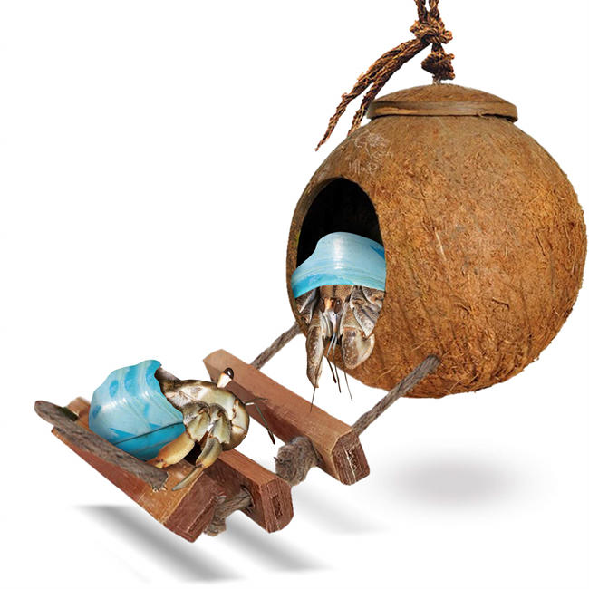 Hermit Crab Coco Hut with Ladder, 5” Diameter, 2.5” Opening, Cave Habitat with Hanging Loop